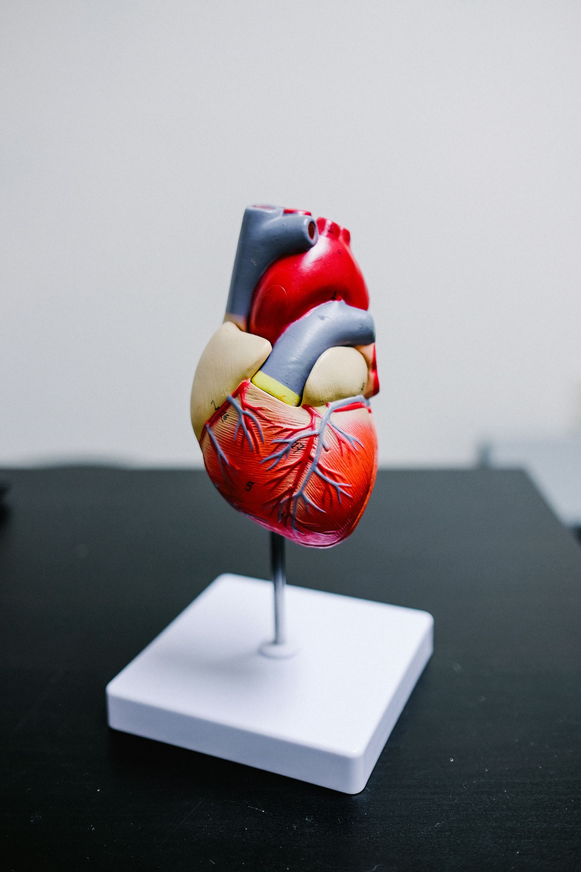 Coronary Heart Disease