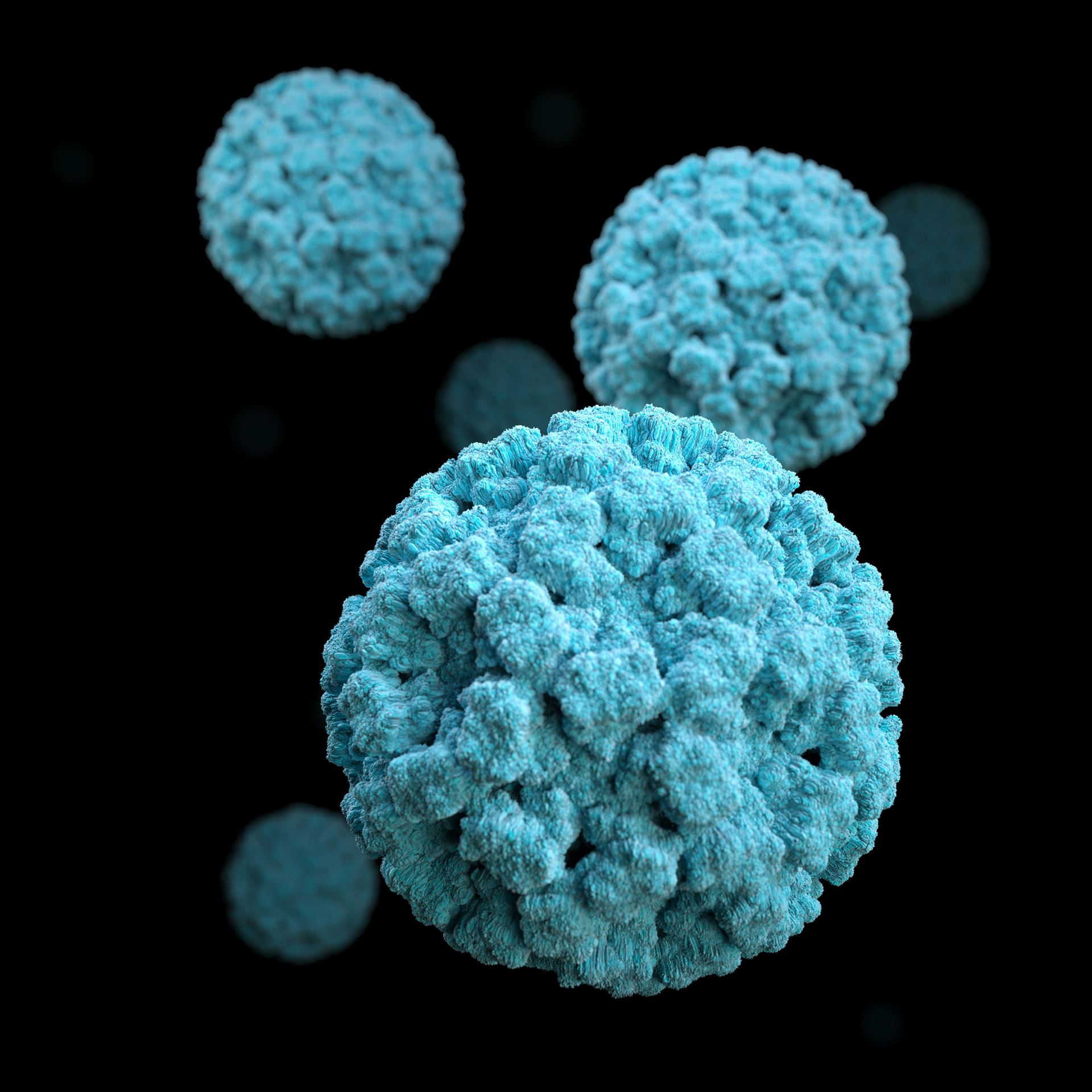 virus